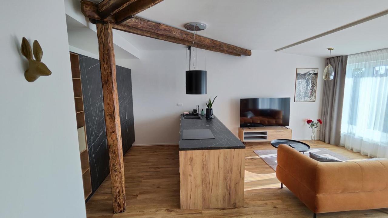 Dohnanyi Villa By Chors Trencin Luaran gambar